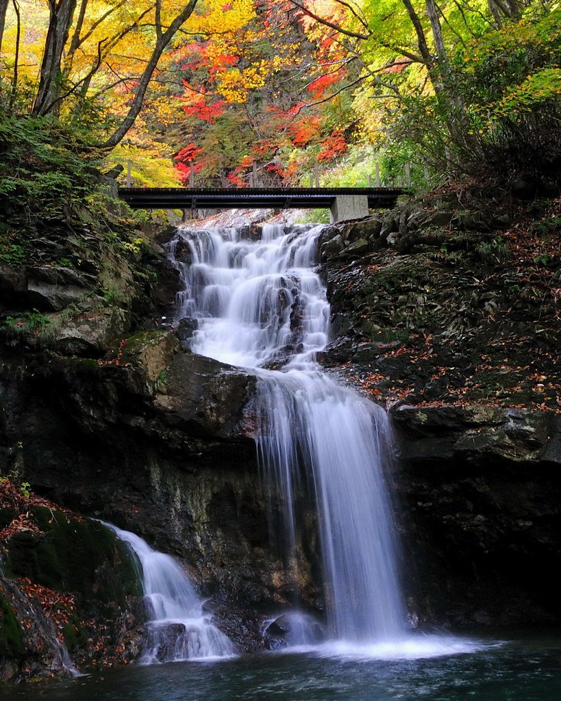 🏞️ 아다타라 계곡 오쿠다케 자연 산책로 (아다타라 케이코쿠 오쿠다케 시젠 유호도) 이미지 7